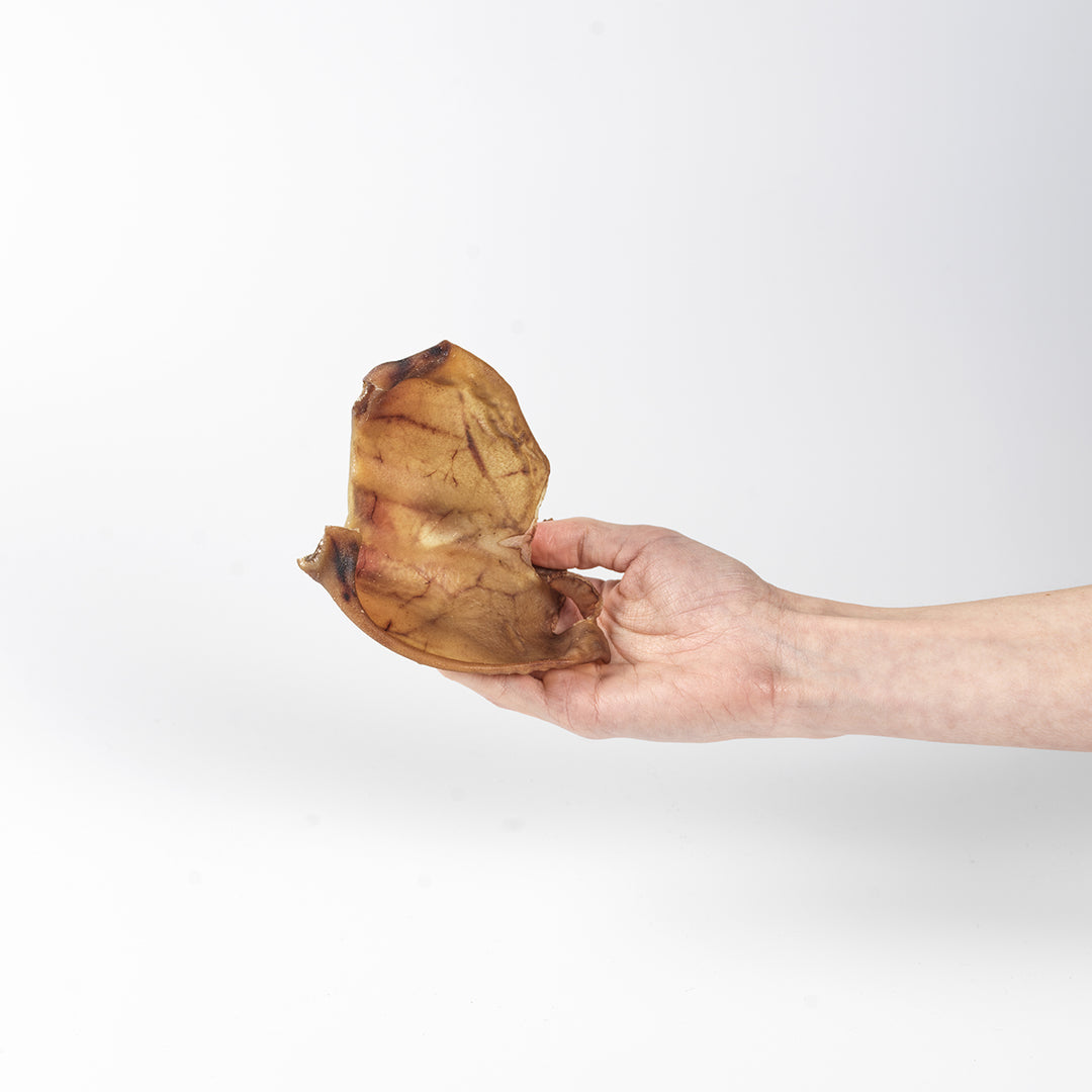 Schweineohren